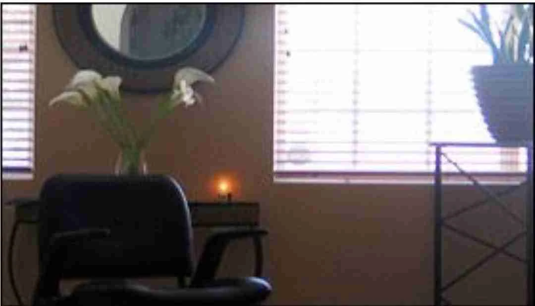 private extension salon